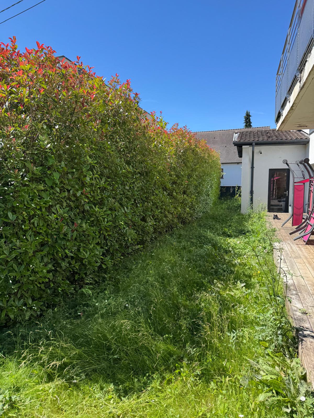 Extérieur terminé après travaux