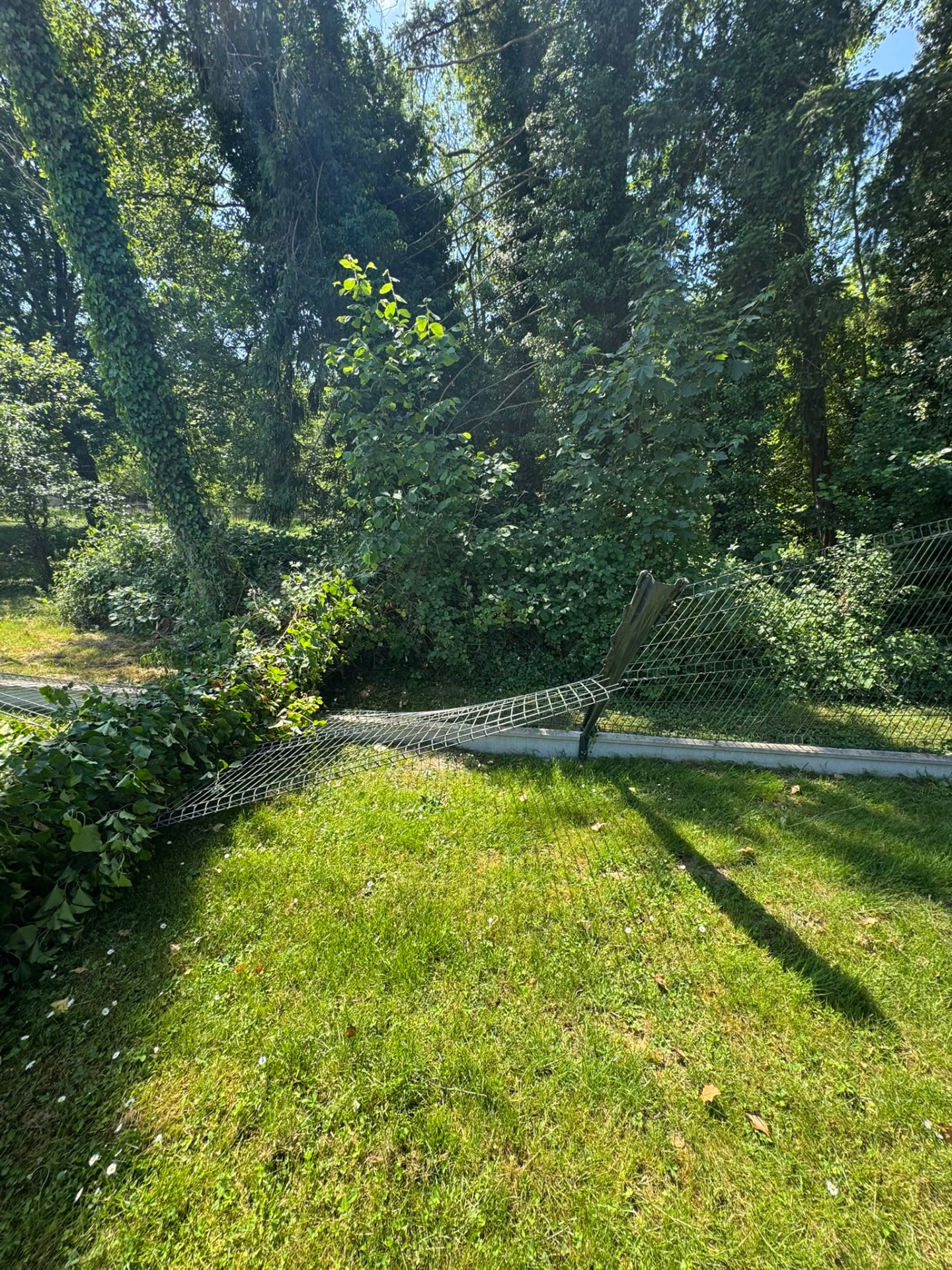 Aménagement extérieur en finition