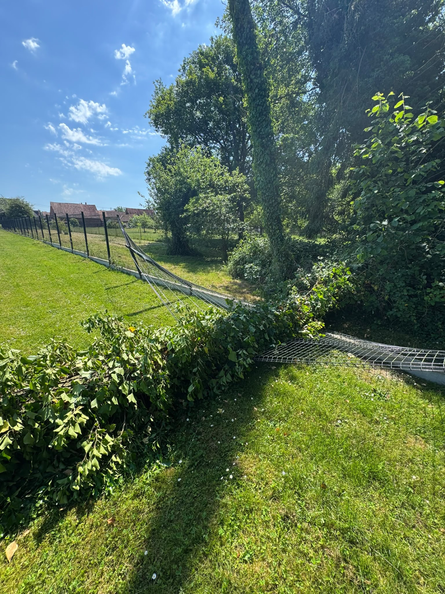 Aménagement extérieur en cours de réalisation